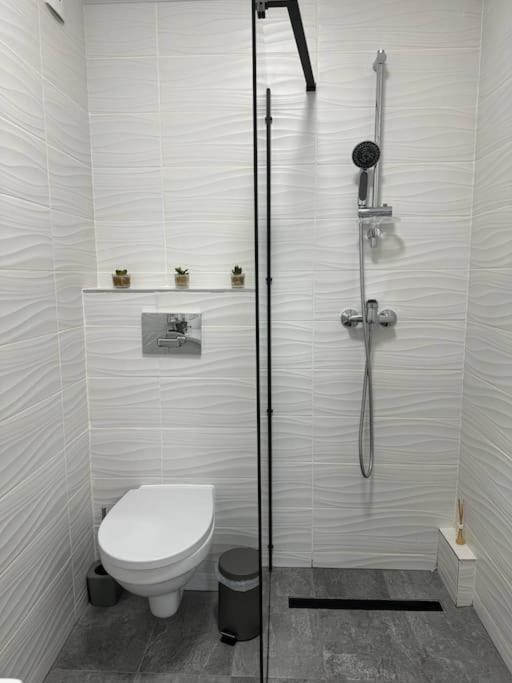 Sky Residence Airport Therme Otopeni 2 מראה חיצוני תמונה
